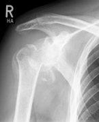 Abbildung11(2) Abbildung11(2)